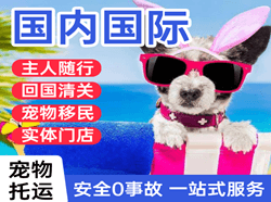 临沂空运地址国际宠物托运 【国